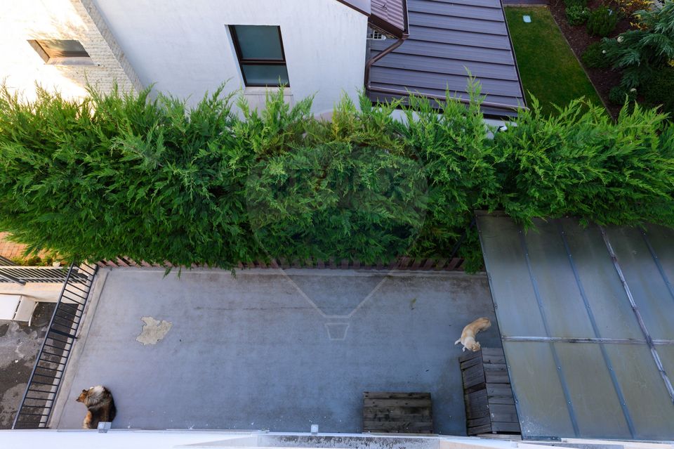 6 room House / Villa for sale, Borhanci area