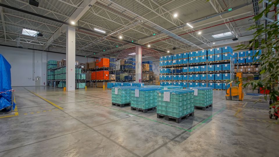Hală industrială 5.000–12.000 mp de închiriat, Ghimbav