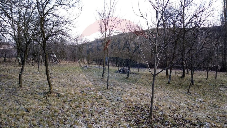 Land 2,811sqm Masca / Strada Principala