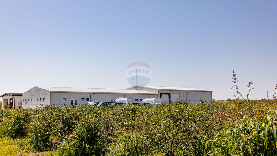 Land 27,720sqm Seini / Drumul E 58