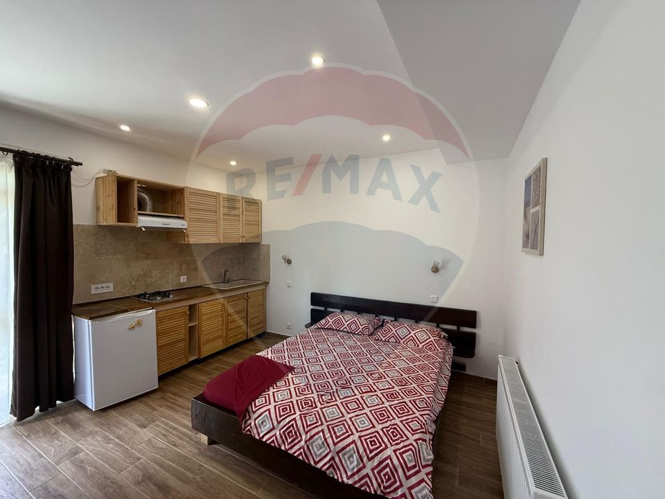 8 room House / Villa for sale, Sud-Vest area