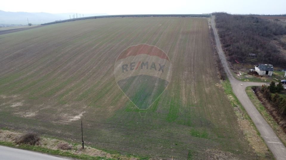 Land 9,800sqm Luna de Jos / Strada Principala