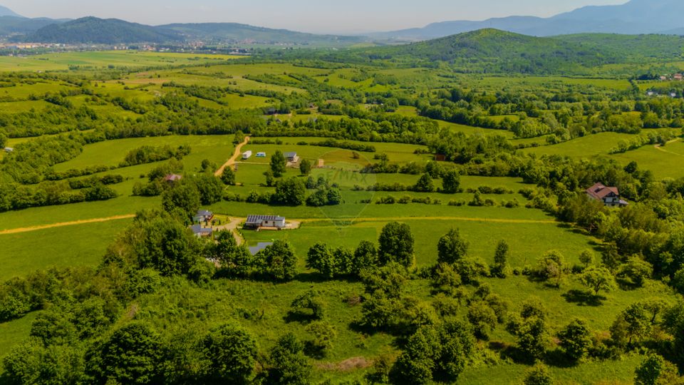 Land 6,000sqm Zarnesti / Strada Tohanita