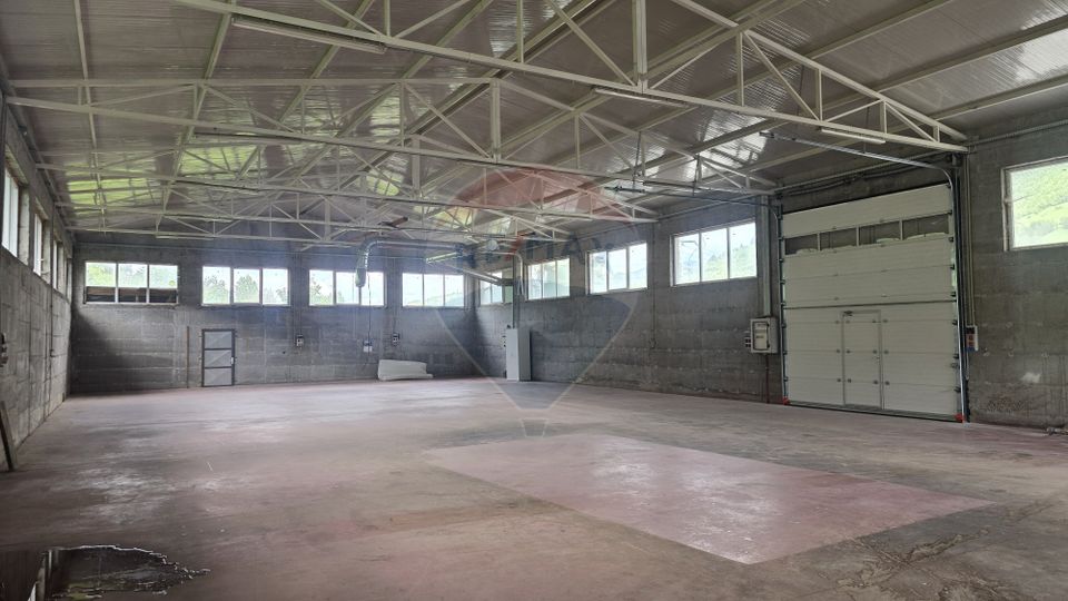 Hala de productie 540mp de închiriat în Borsa pe DN 18 spre Complex