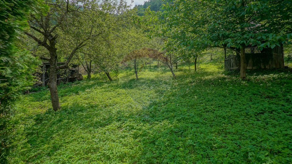 Singură în curte în Șcheii Brașovului! Casă spațioasă cu teren generos