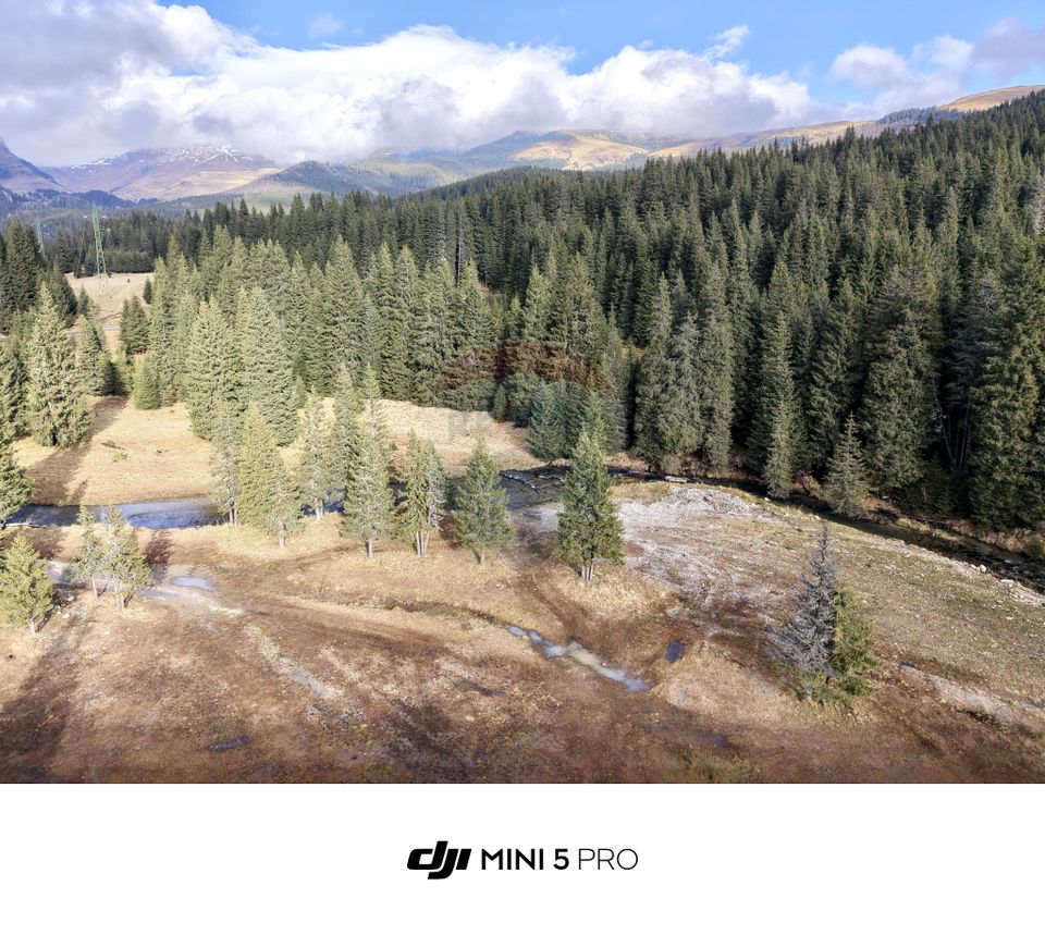 Teren de vanzare - 5000 mp - Peștera Padina