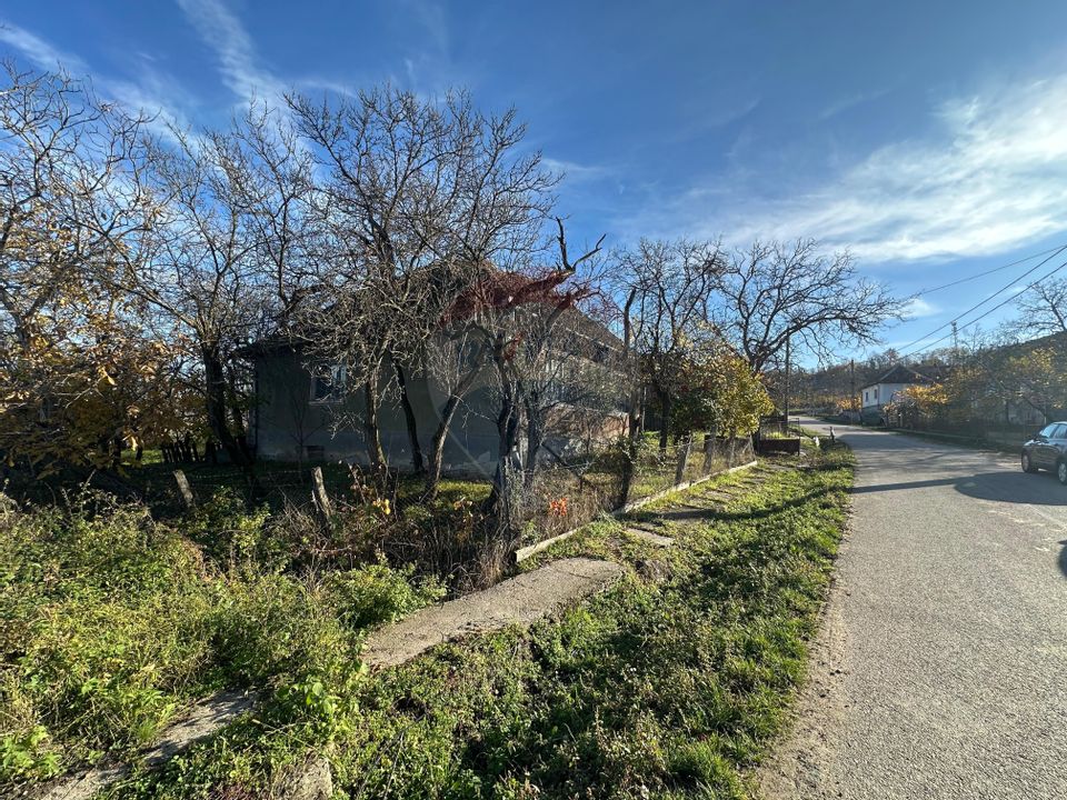 GOSPODARIE - liniste - natura - DE VANZARE