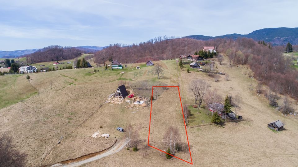 Land 1,788sqm Dambovicioara / Drumul Principal