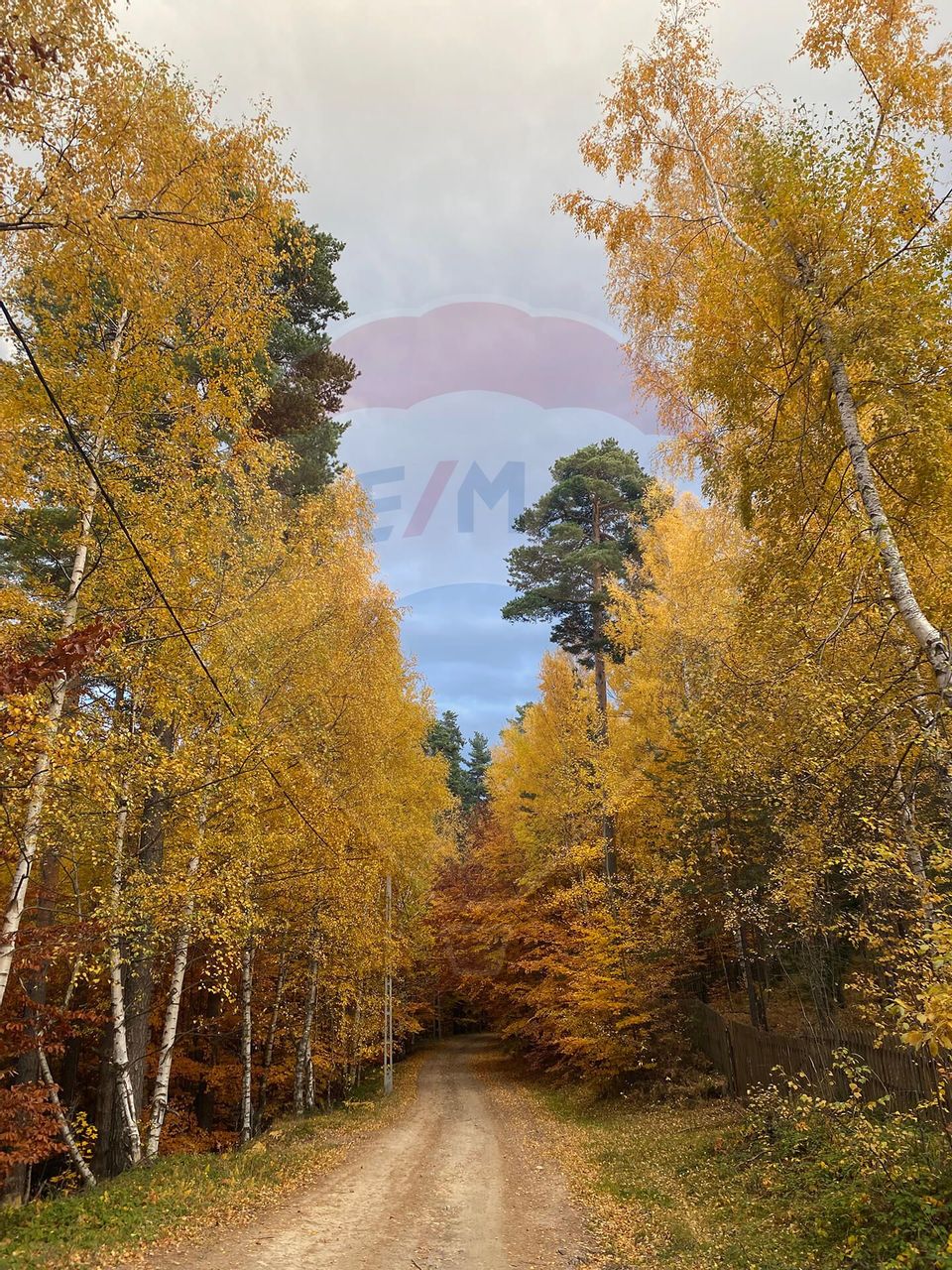 Guesthouse for sale | 12 rooms | Bisoca / Buzau