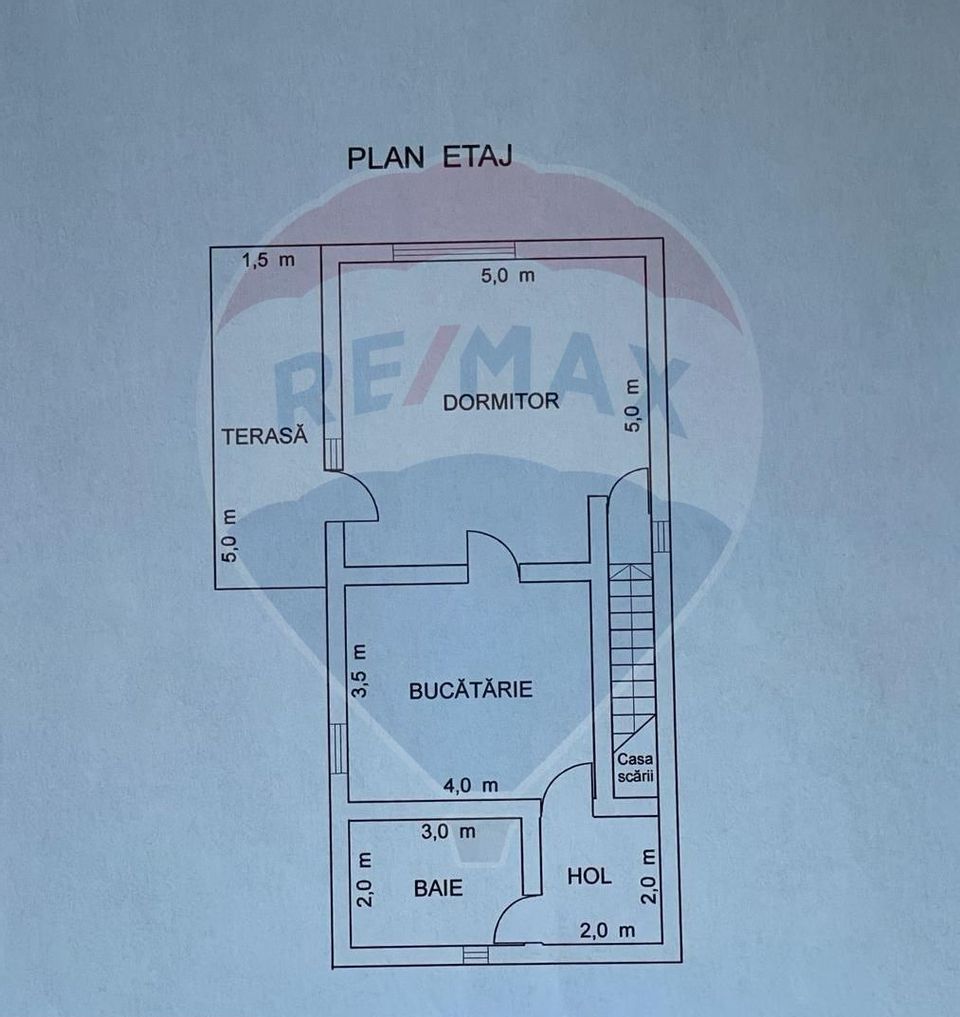 Casa de vacanta de vanzare Raul Alb Dambovita 5000 mp intravilan