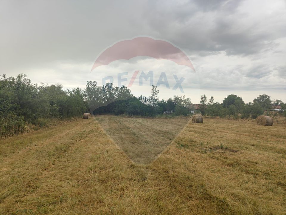 Casa de vanzare in Sinersig