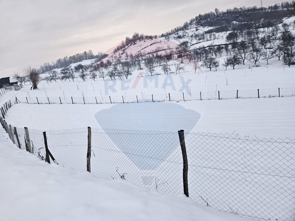 Teren 4,301mp Barsana / Strada Principala