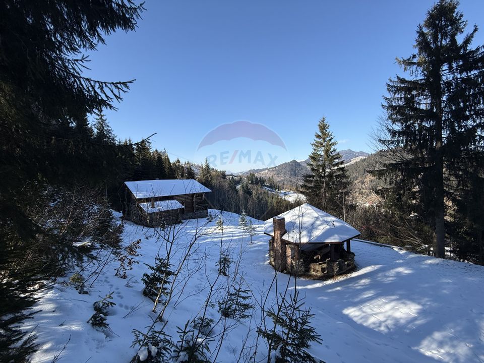 Cabană în inima munților,acces la pârtia de schi din Borșa,teren2200mp