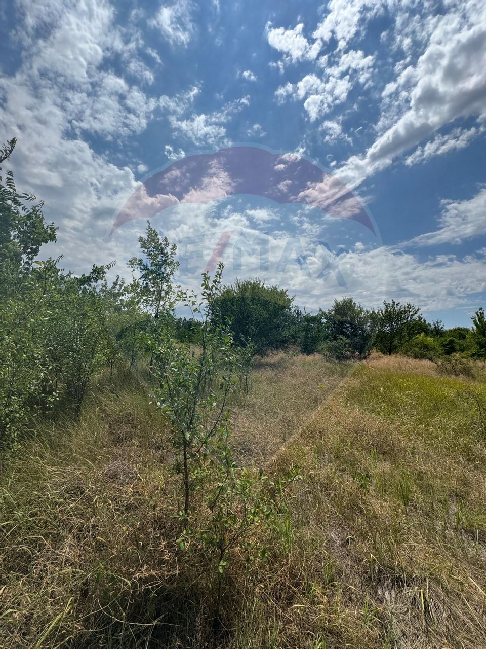 Teren 6,080mp Craiova / Aleea 5 Primaverii