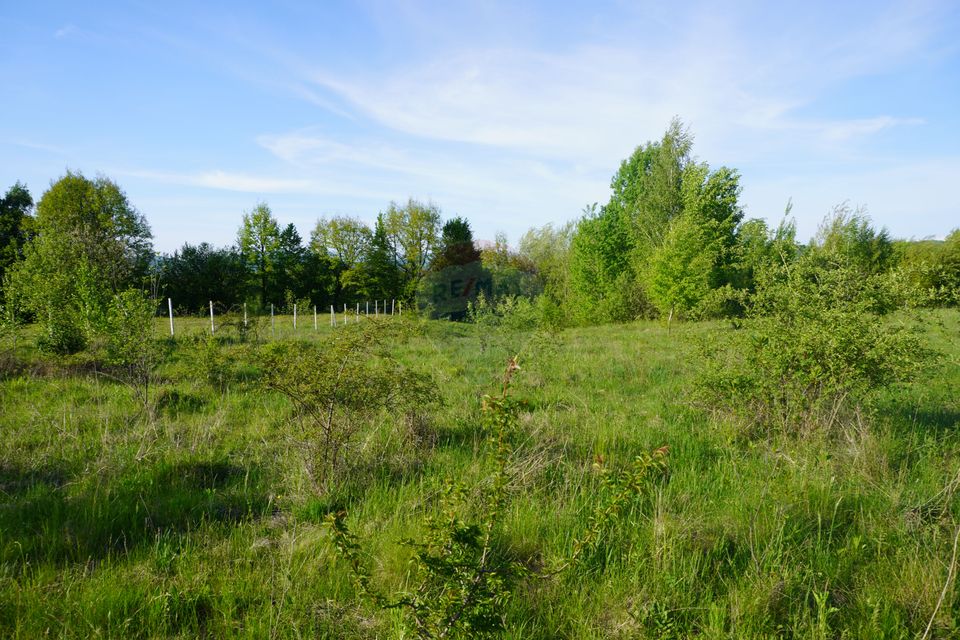 Land 38,592sqm Sighetu Marmatiei / Strada Mocăniței