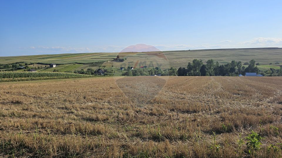 Teren intravilan, 7500 mp in Moara Carp / Strada Eternitatii-Suceava