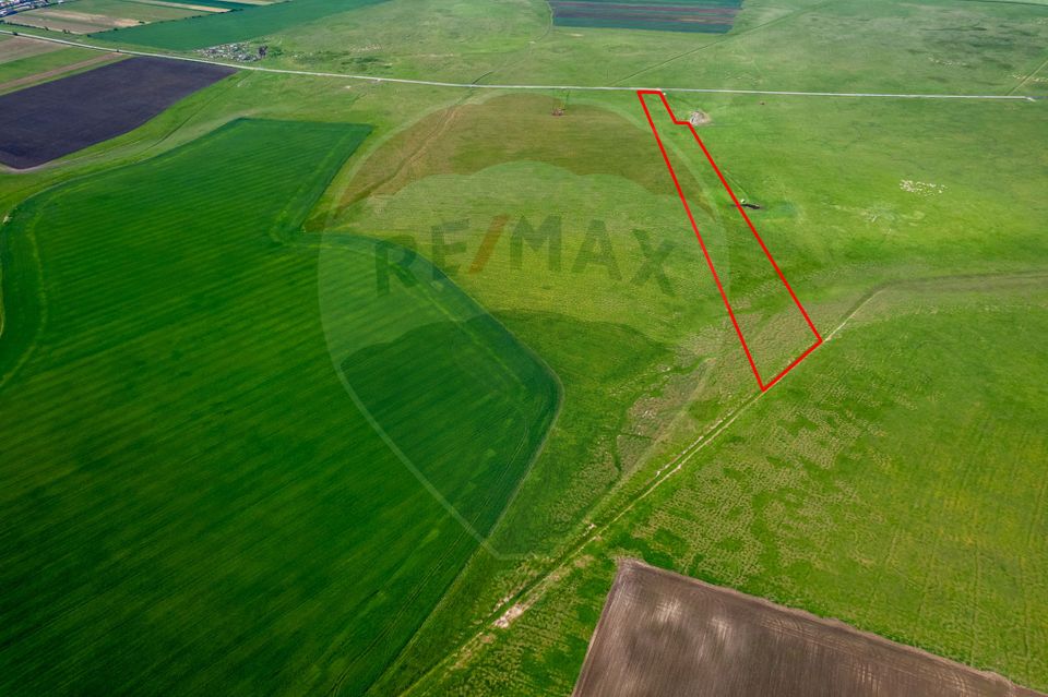 Land 50,000sqm Santana / Soseaua EXTRAVILAN