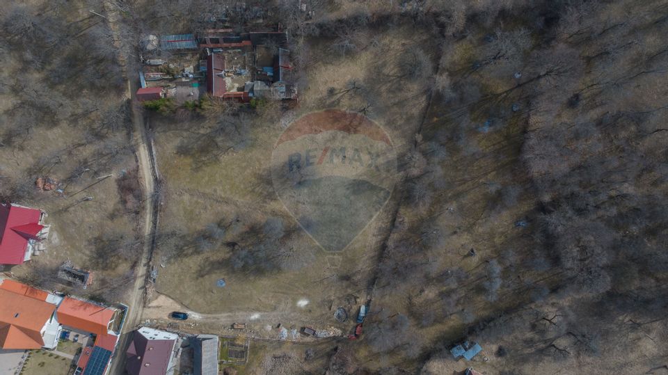 Land 1,614sqm Sohodol / Strada Înv. ioan pușcariu