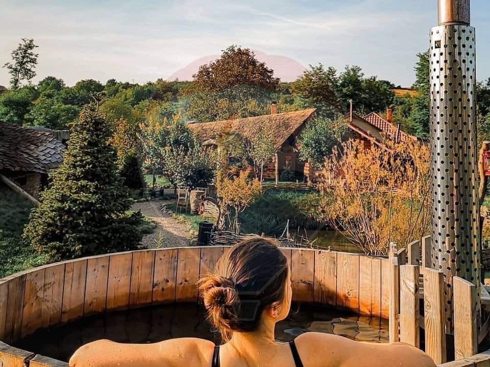 Hotel / Pensiune de vanzare Piatra Neamt