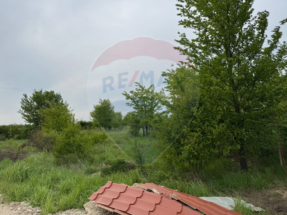 Land 960sqm Ciolpani / None
