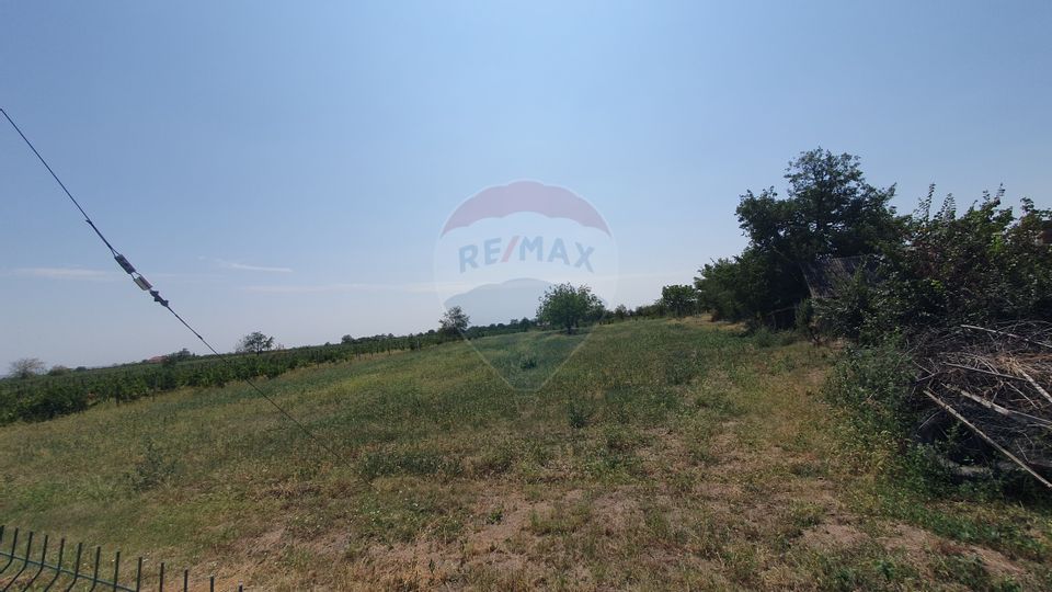 Land 3,555sqm Dragosloveni (Dumbraveni) / Strada Alexandru Vlahuta