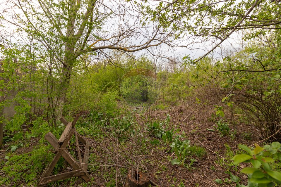 Teren intravilan 2000 mp de Vanzare Pantelimon - Rascoalei