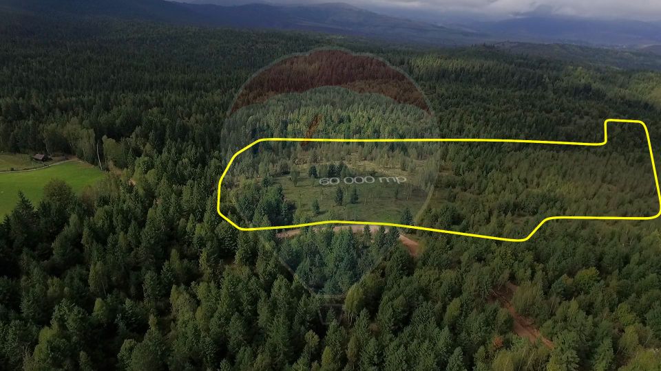 Teren extravilan parcelabil Călățele Pădure, zona Dealu Negru