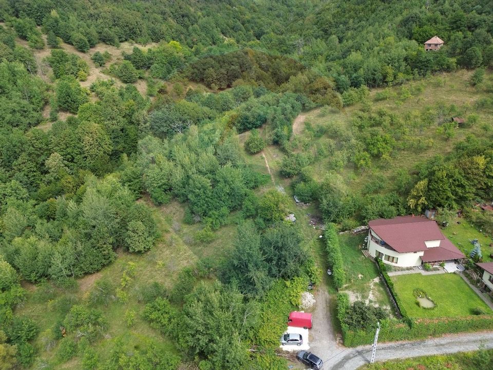 Land 1,600sqm Baia Mare / Strada Valea Cerbului