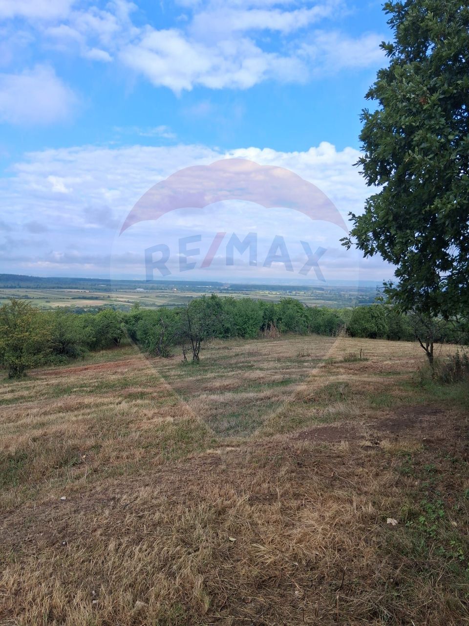 Teren 5,700mp Somcuta Mare / investitie cu potential major