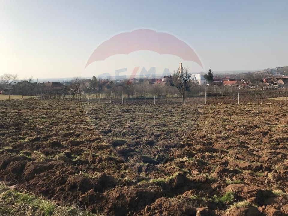 Land 3,659sqm Covasint / Strada Liliacului