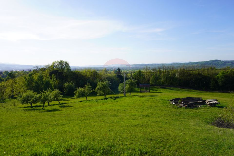 Land 38,592sqm Sighetu Marmatiei / Strada Mocăniței
