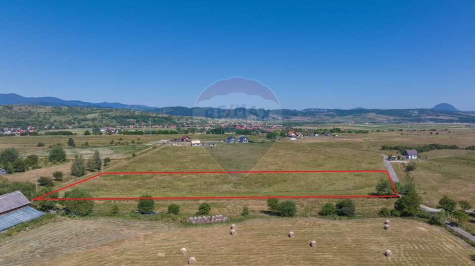 Teren Bran -Sohodol, Strada La mesteceni, 6900mp