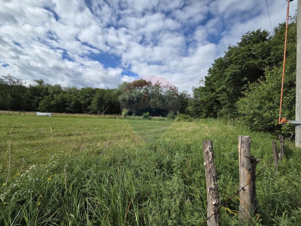 Teren de vanzare  Intravilan 19.341 mp – Cheile Râșnoavei, Parcelabil