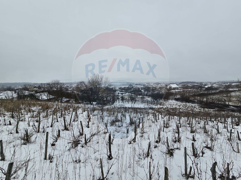 Land 6,850sqm Izvor / Aleea Al Parului