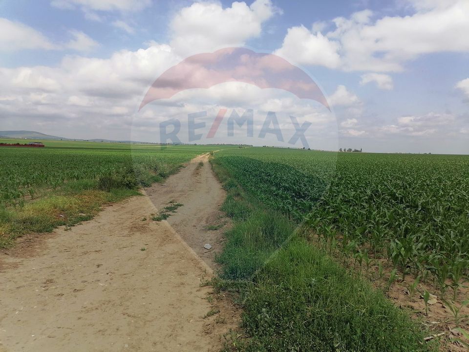 Land 10,000sqm Bacau / Strada Poligonului