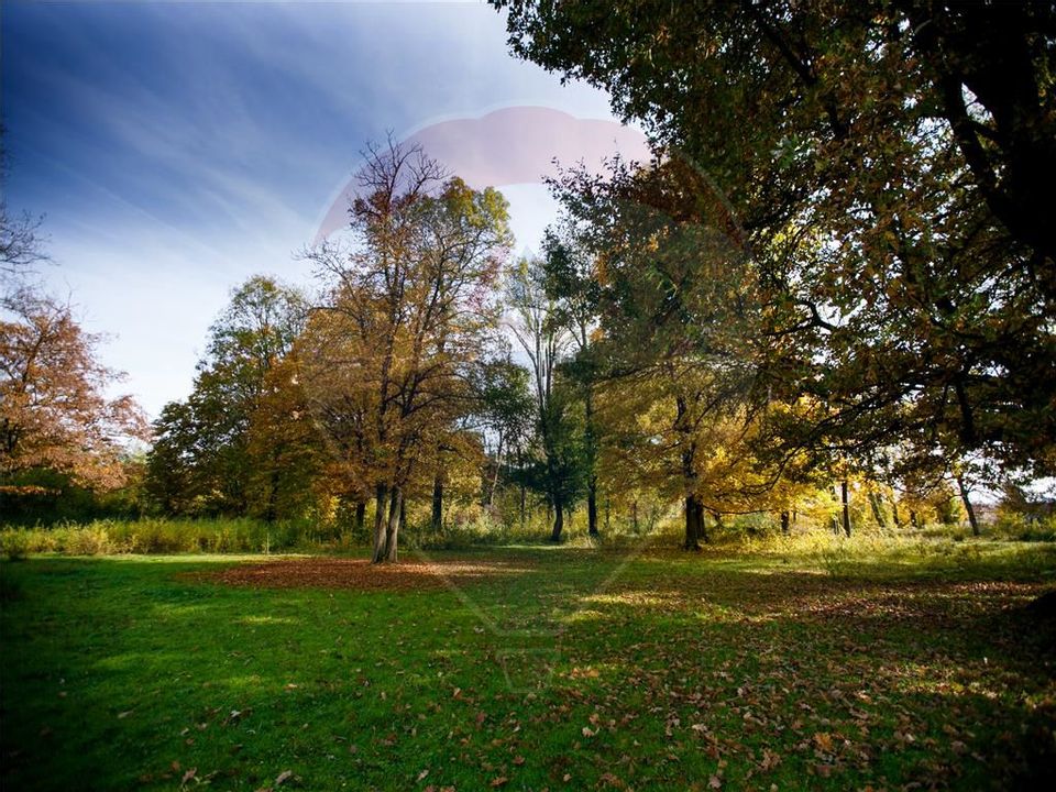 Domeniu Baronial de vanzare in localitatea CIL , Judet Arad