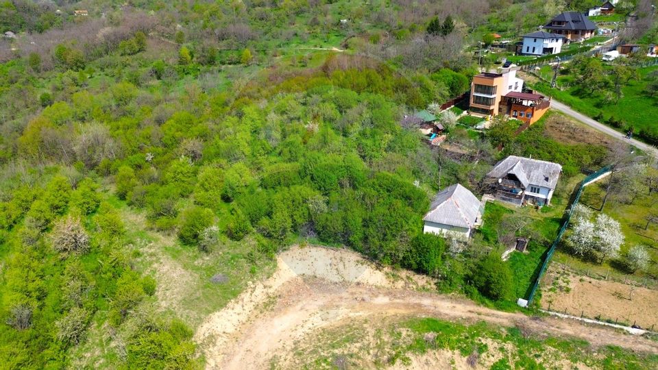 Land 951sqm Baia Mare / Strada Miron Costin