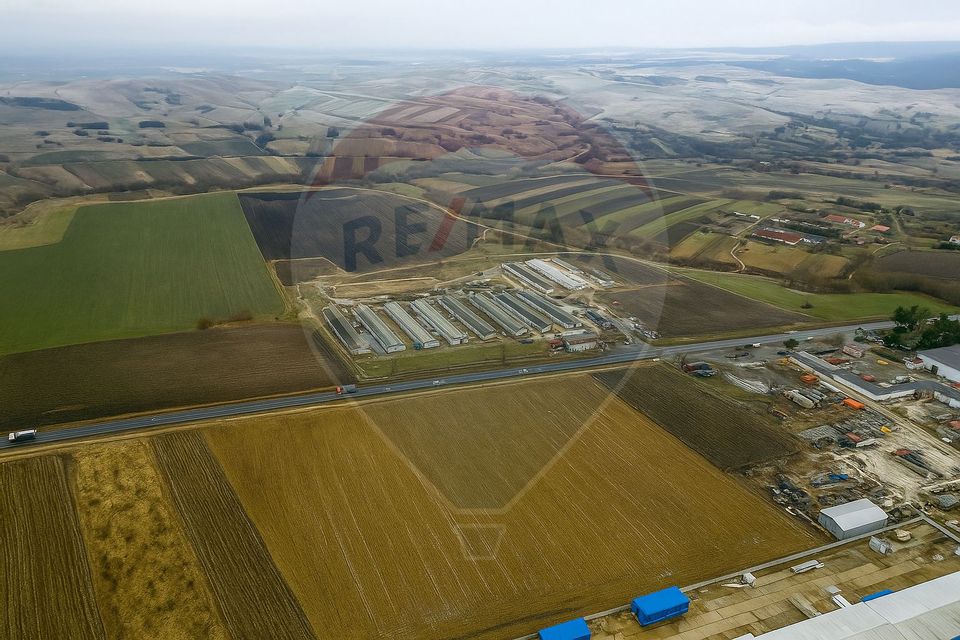 Teren 39,244mp Ilisesti / Strada Principala