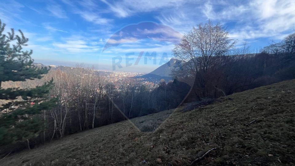 Hillside Panorama Estate – 17,684 sqm in Schei, Brașov