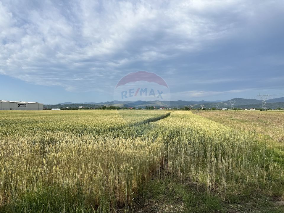Land 8,800sqm Roznov / Strada Paltinului