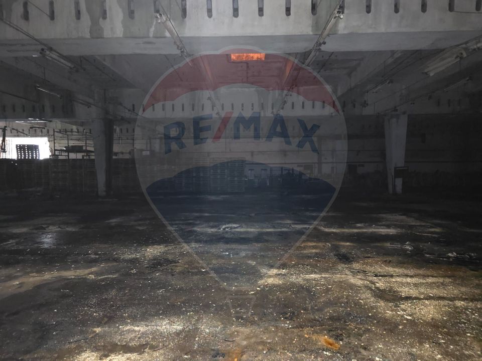 10,000sq.m Industrial Space for rent, Gavana area