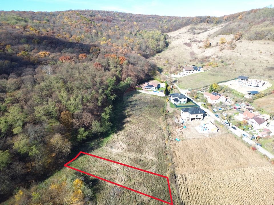 Teren de vânzare – zonă Wevern, Medias – 1.233 mp lângă padure