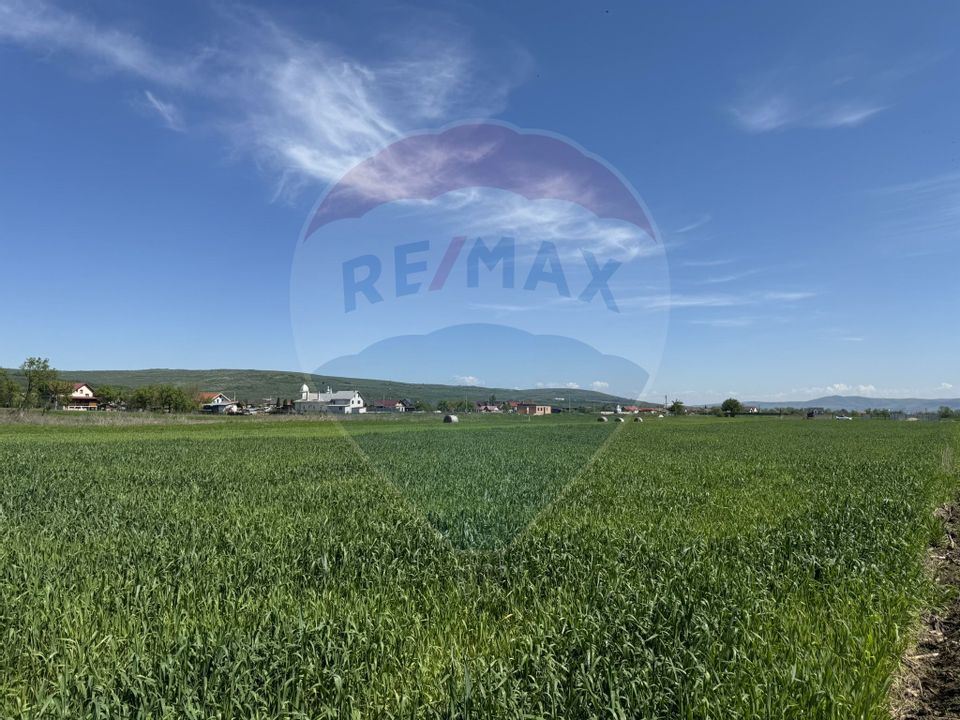 Teren intravilan 1.400 mp, împrejmuit integral – Livada, comuna Iclod