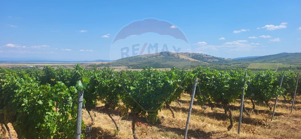 Land 70,000sqm Maderat / Strada principala