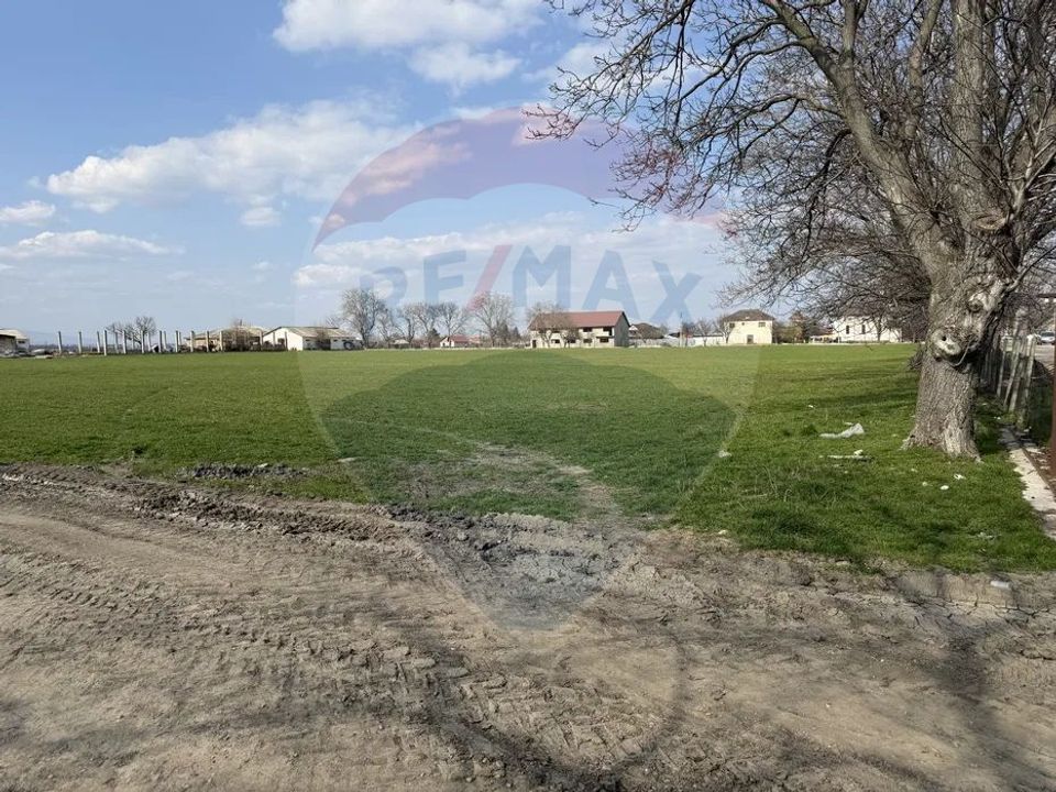 Teren 500 h plus 1000h arenda Vrancea