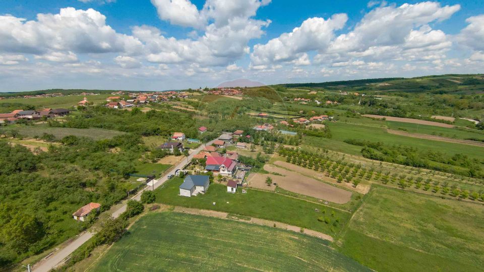 Casă cu 3 camere, anexă și 2042 mp teren de vânzare, în Calea Mare