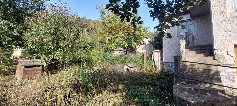 Casă  individuala cu teren generos