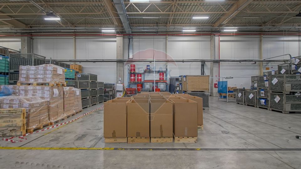 Hală industrială 5.000–12.000 mp de închiriat, Ghimbav