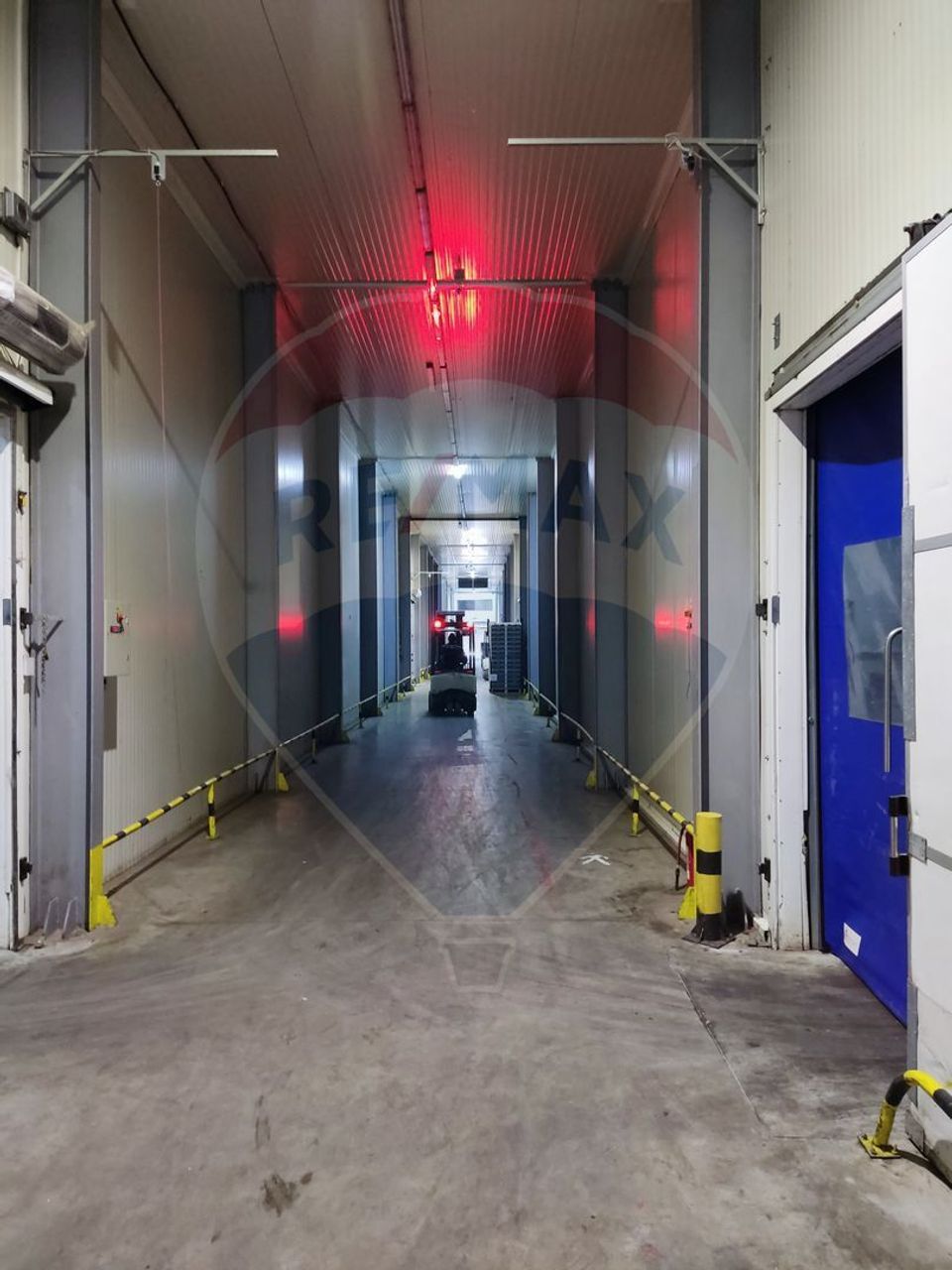 Depozit frigorific  hala ideal legume, fructe, flori