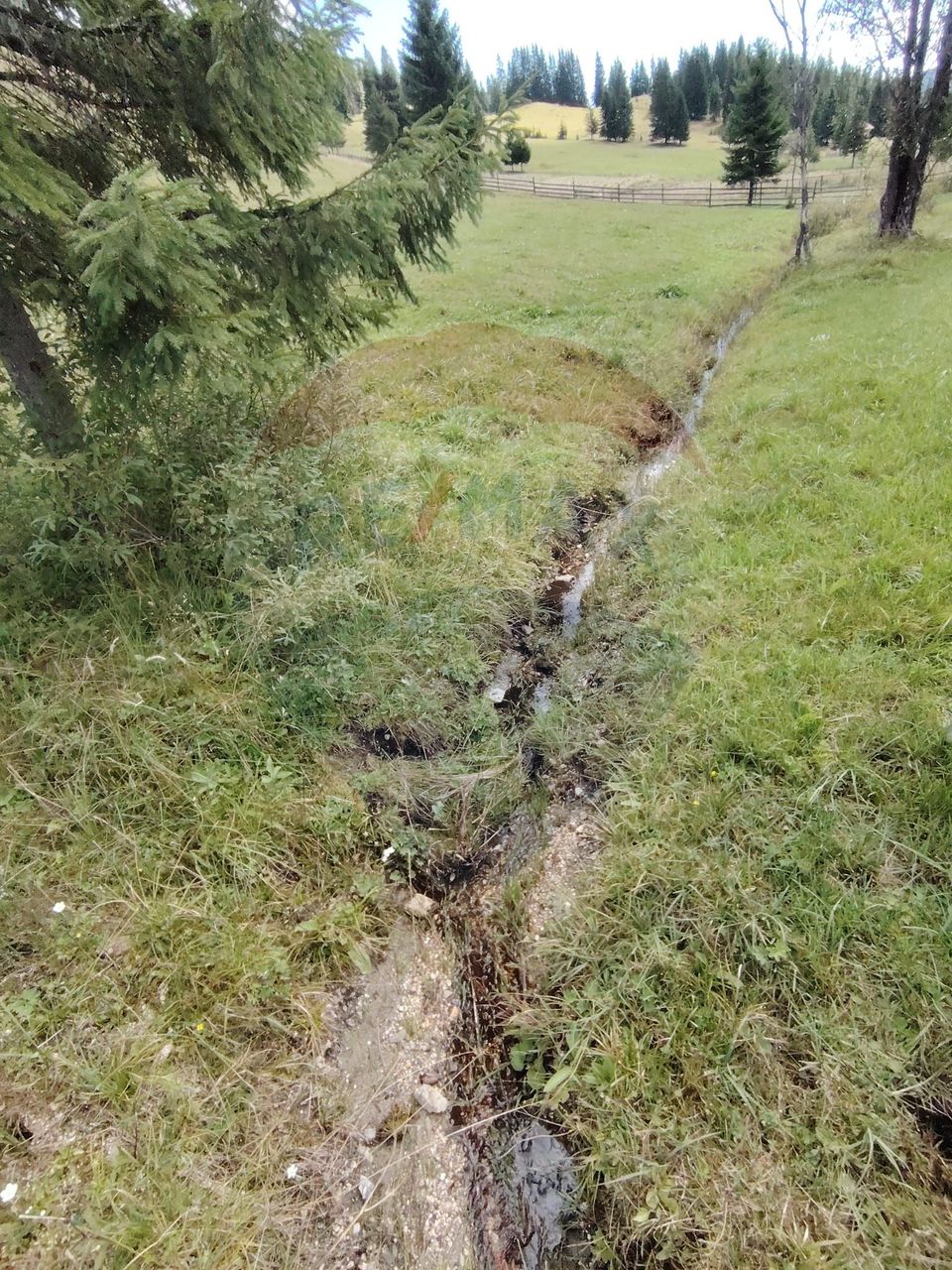 Teren de 14318m.p. în Paltinis, la 100m de strada Principala